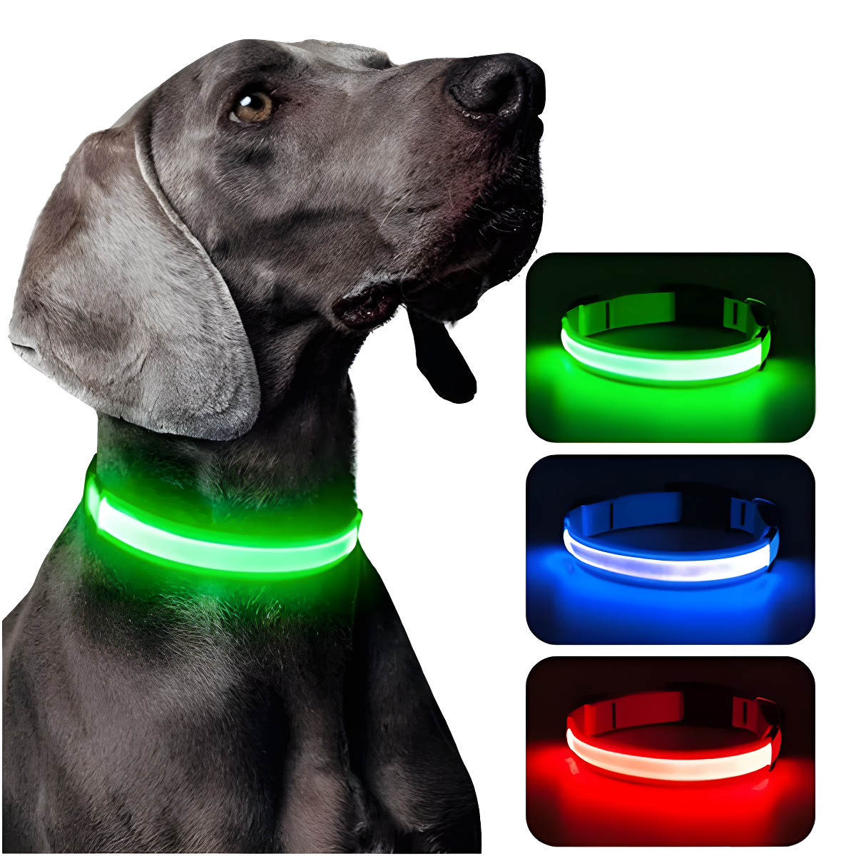 Collar Anti-Pérdida de Mascotas Con Luz Led Recargable