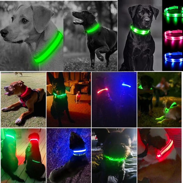 Collar Anti-Pérdida de Mascotas Con Luz Led Recargable