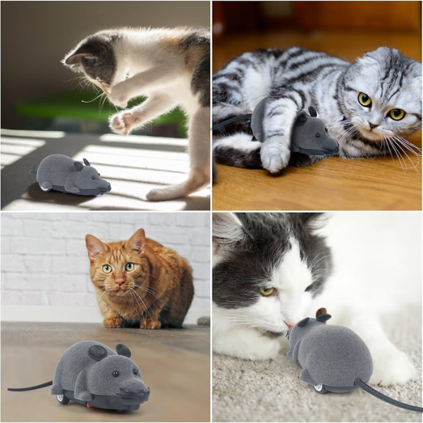 Funny Mouse™ Entretenimiento Para Tu Gato/Control Remoto