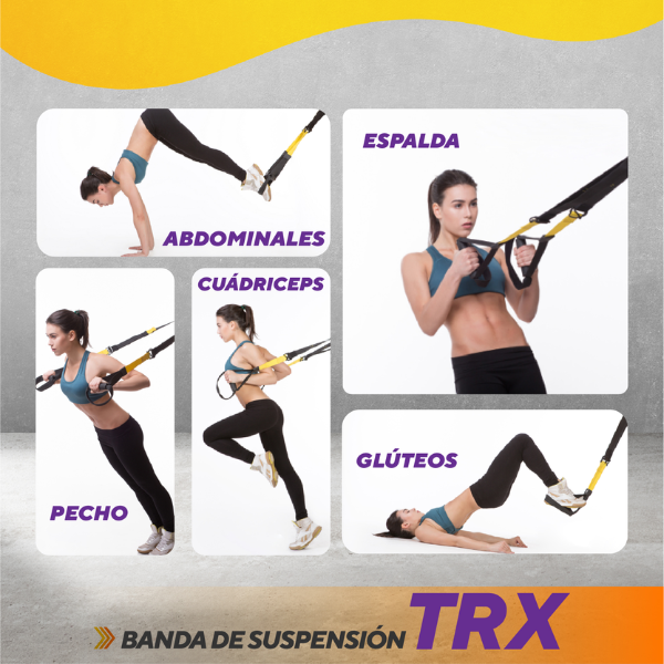 FitPro™ - Bandas de Suspensión TRX