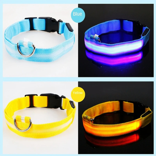 Collar Anti-Pérdida de Mascotas Con Luz Led Recargable