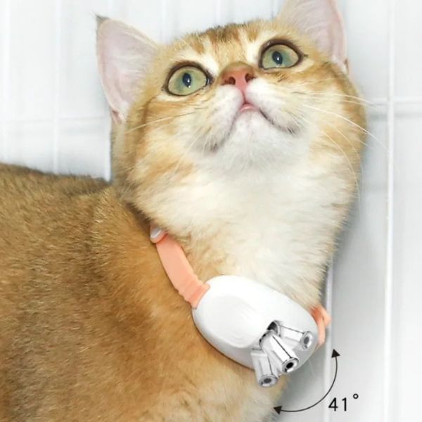 LaserCat™ Collar Láser Para Gatos | Juguete Interactivo 😺