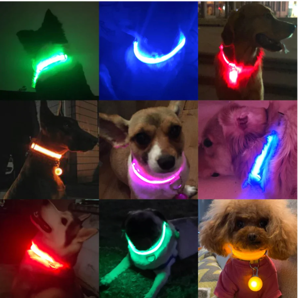 Collar Anti-Pérdida de Mascotas Con Luz Led Recargable