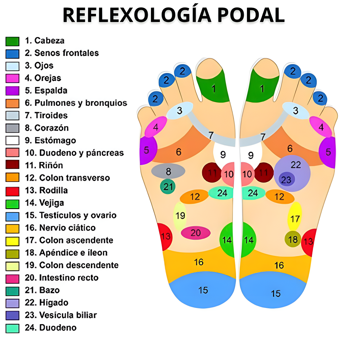 Kit de Reflexología - Bienestar y Alivio por Acupresión (Talla Única)